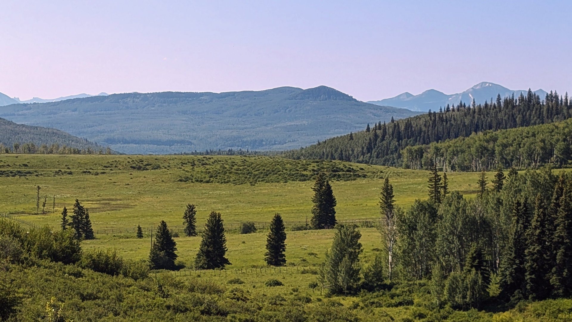 Wide valley with evergreen trees scattered across green meadow and mountains in the distance under clear sky